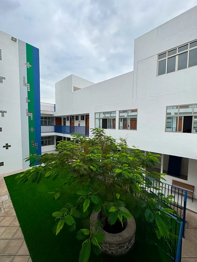 Patio interior del Instituto Quetzal con un árbol al centro y un muro con franjas verde y azul